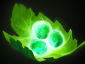 dota2嗜血狂魔技能