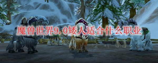 魔兽世界9.0矮人适合什么职业
