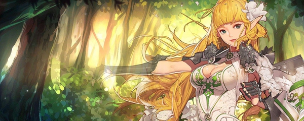 精灵骑士泰波尔斯防具选择