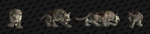 《魔兽世界》沙色夜刃豹获得方法