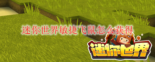 迷你世界敏捷飞鼠怎么获得
