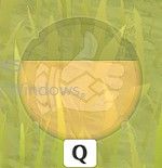 原神五郎装备搭配推荐