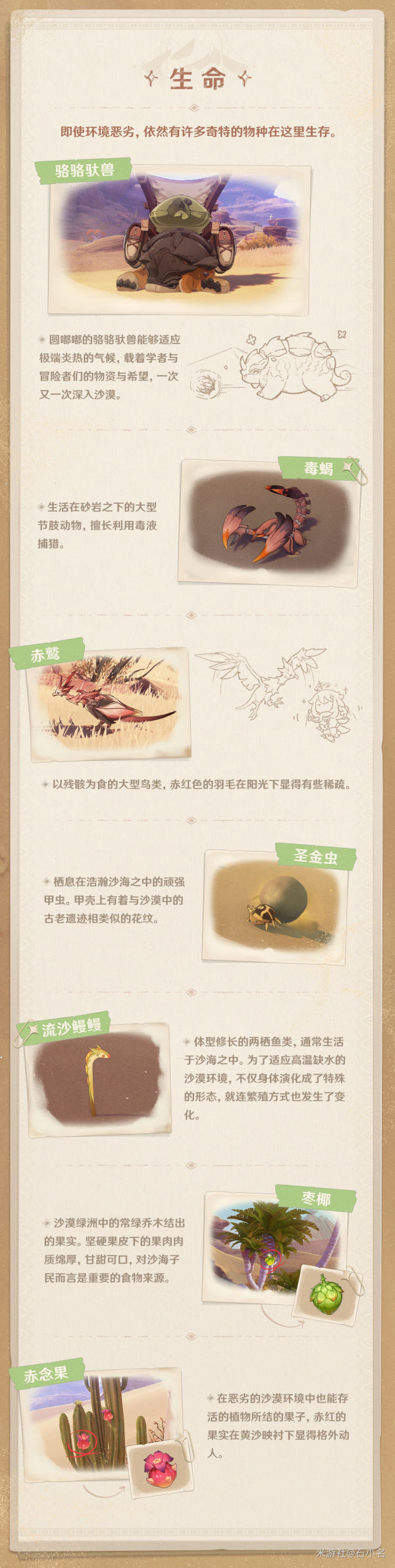 原神须弥沙漠简介