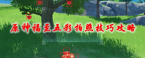 原神福至五彩拍照技巧攻略