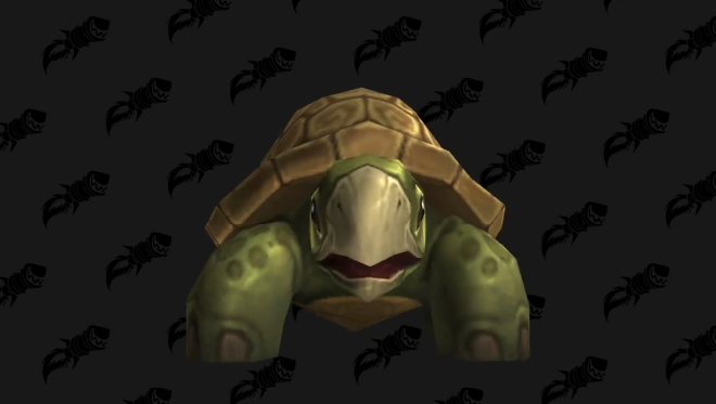 魔兽世界石壳龟小宠物怎么获得