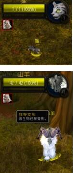 魔兽世界plus法师启迪符文怎么获得