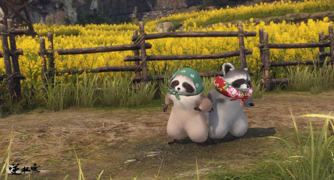 《逆水寒》新宠物小浣熊介绍