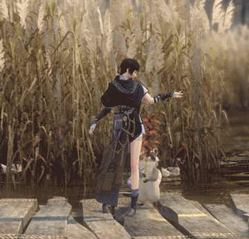 《逆水寒》新宠物小浣熊介绍