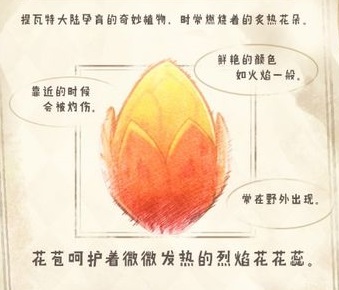 原神烈焰花怎么采集