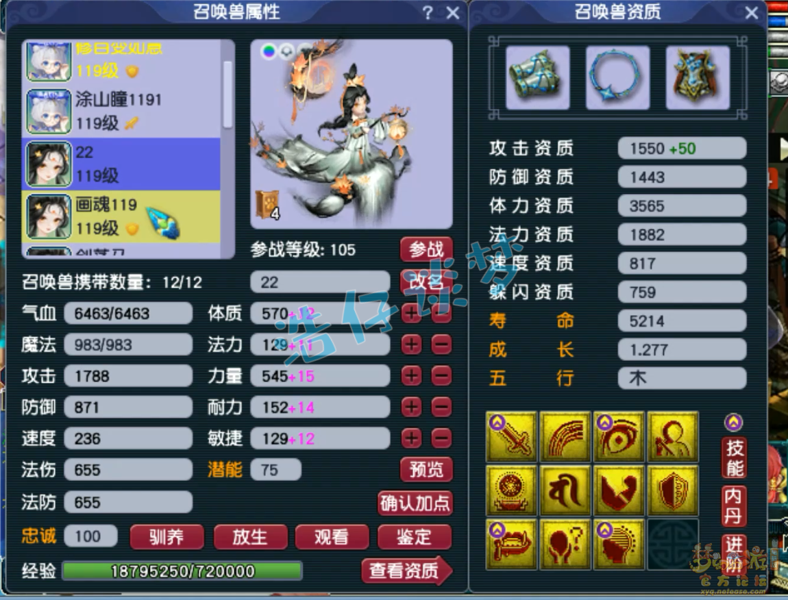 梦幻西游109级奶神木林装备展示图