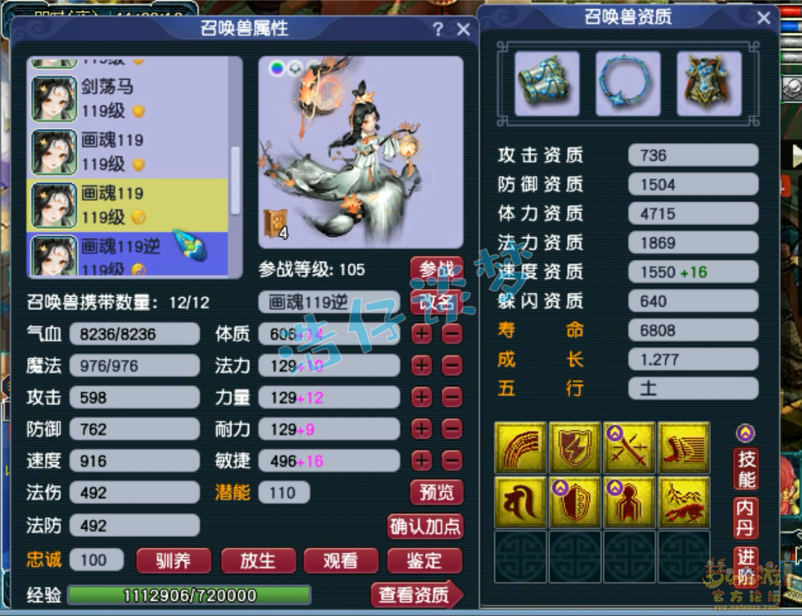 梦幻西游109级奶神木林装备展示图