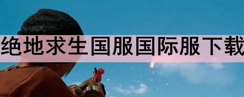 绝地求生国服国际服下载