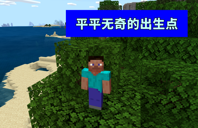 我的世界石巨人种子是什么