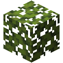 我的世界杜鹃树叶有什么用