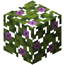 我的世界盛开的杜鹃树叶有什么用