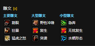 魔兽世界CTM怀旧服猫德雕文选择