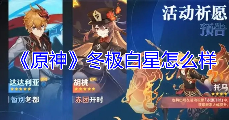 原神冬极白星怎么样
