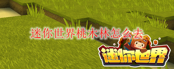 迷你世界桃木林怎么去