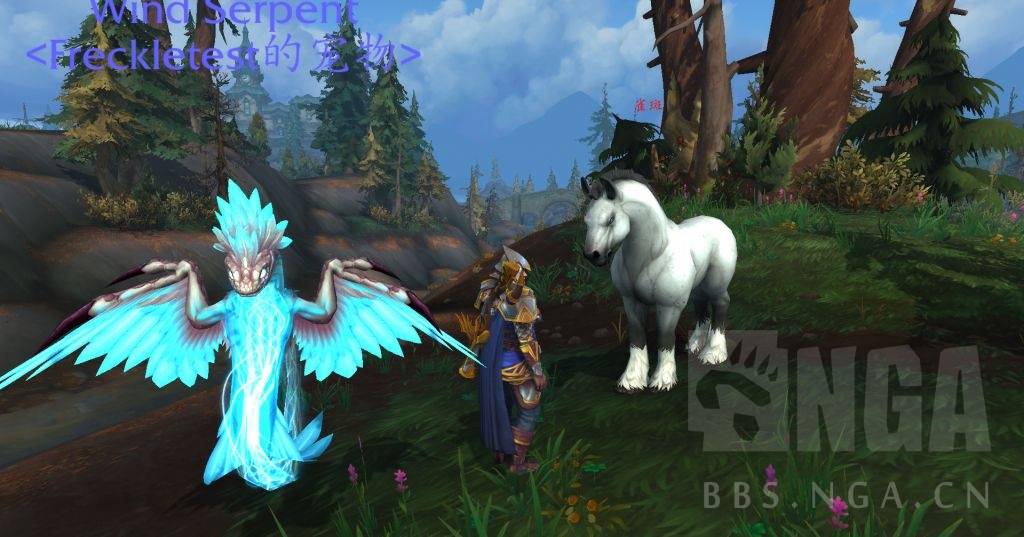 《魔兽世界》雀斑介绍