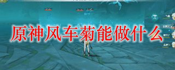 原神风车菊能做什么