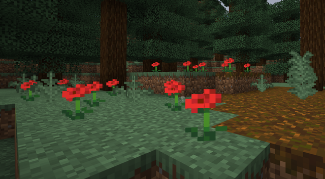 我的世界蜜蜂怎么传送