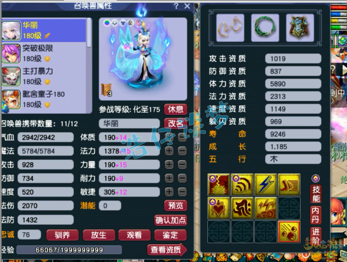 梦幻西游不磨神木林175级装备展示图