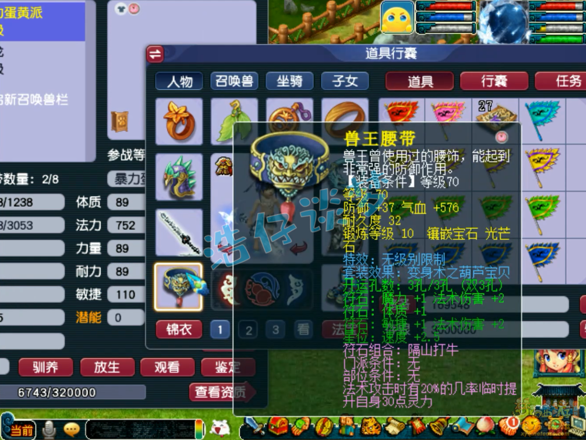 梦幻西游69级魔方寸山任务装备展示图