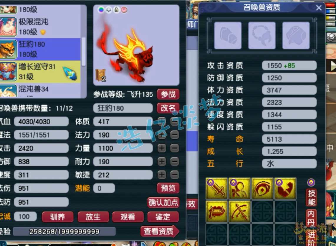 梦幻西游竞速龙宫装备展示图175级