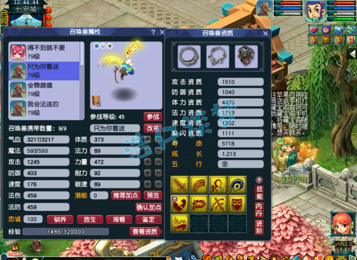 梦幻西游花果山任务69级装备展示图