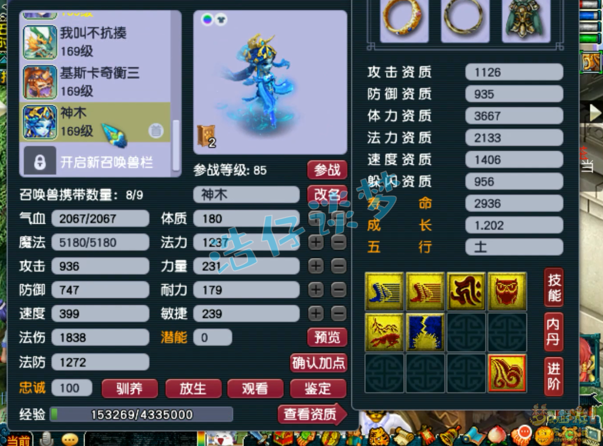 梦幻西游159奶神木林装备展示图