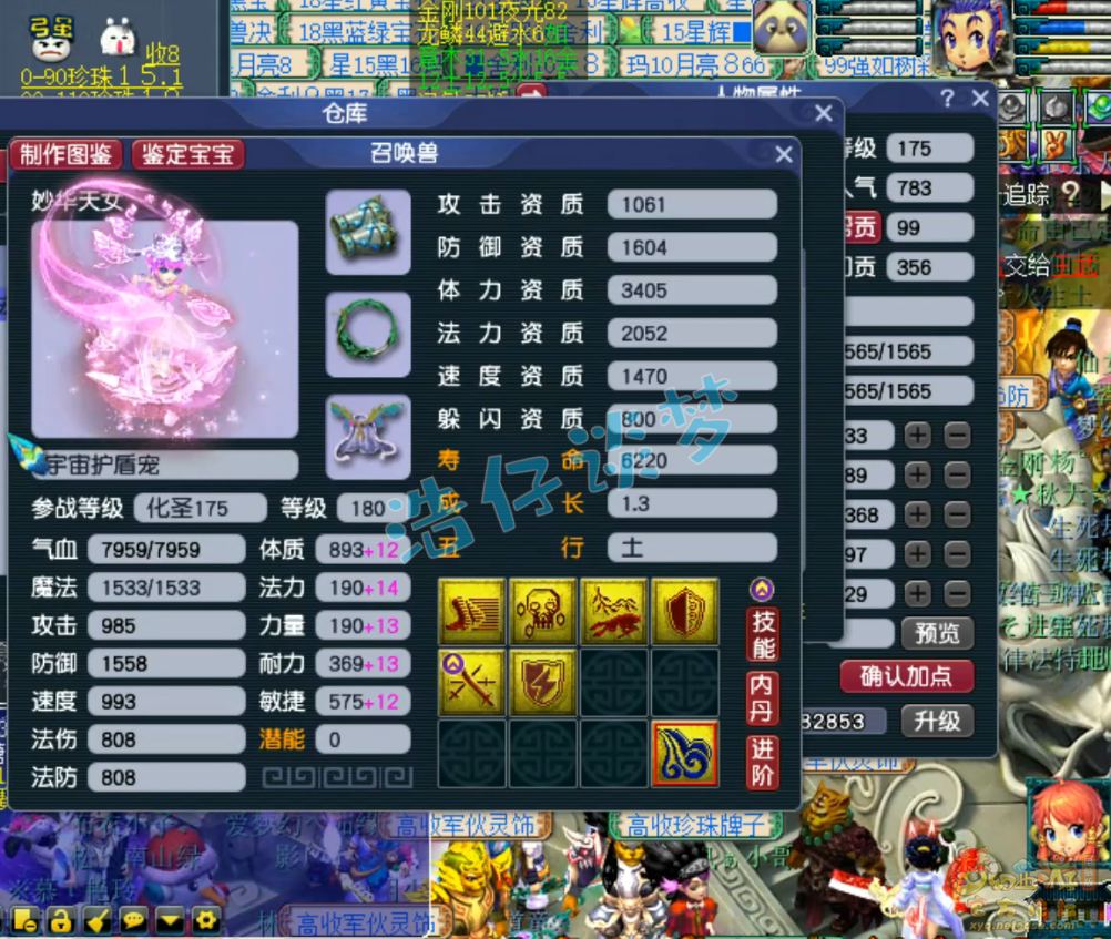 梦幻西游服战175花果山装备展示图