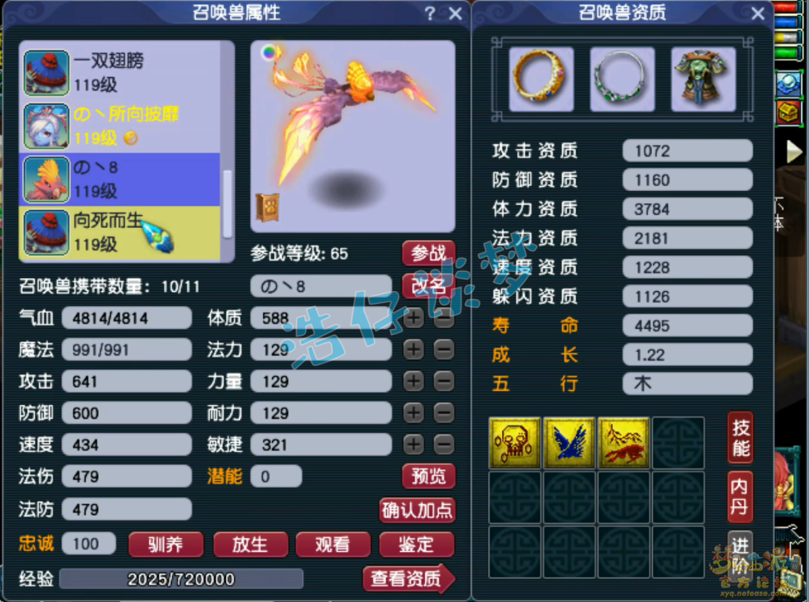 梦幻西游普陀山109装备展示图