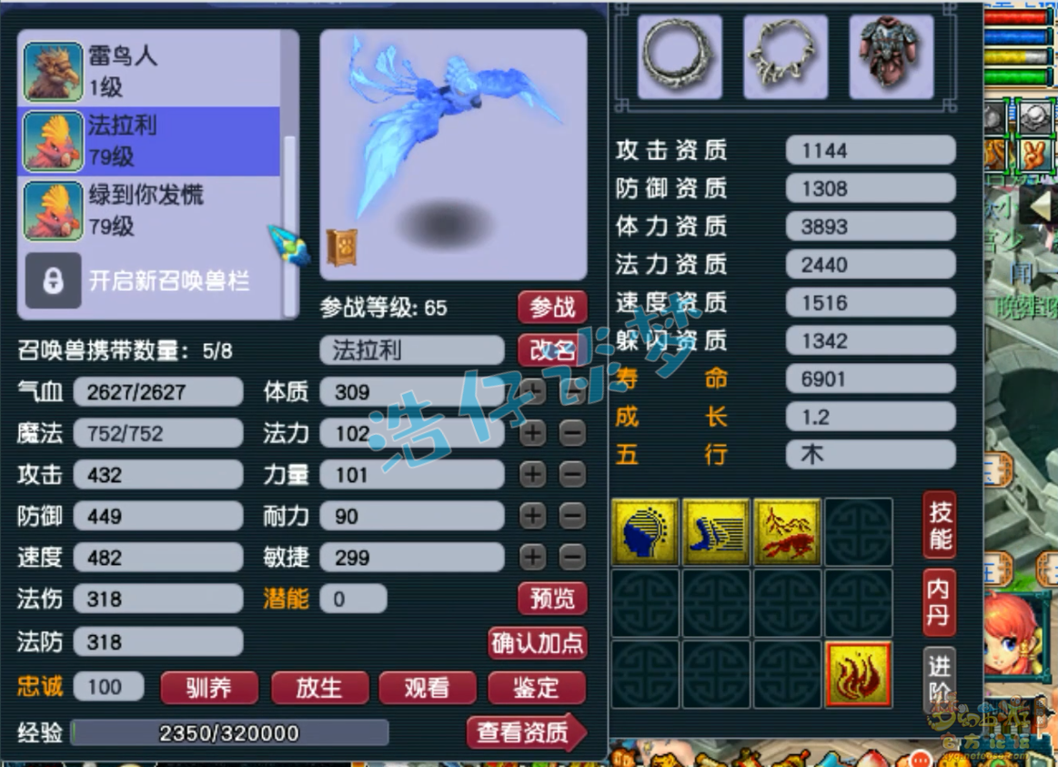 梦幻西游69九黎城平民装备展示图