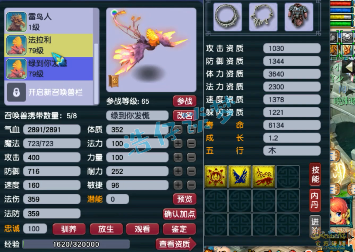 梦幻西游69九黎城平民装备展示图