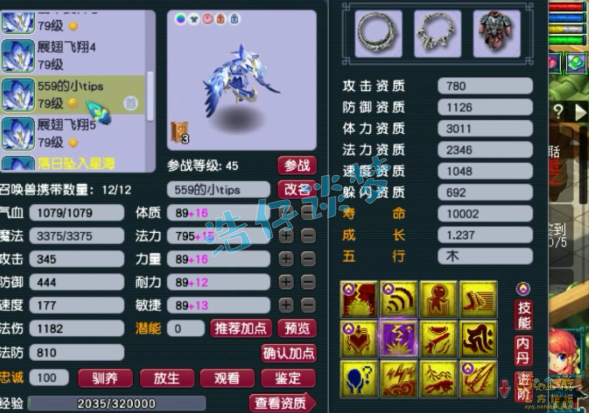 梦幻西游九黎城装备69级展示图