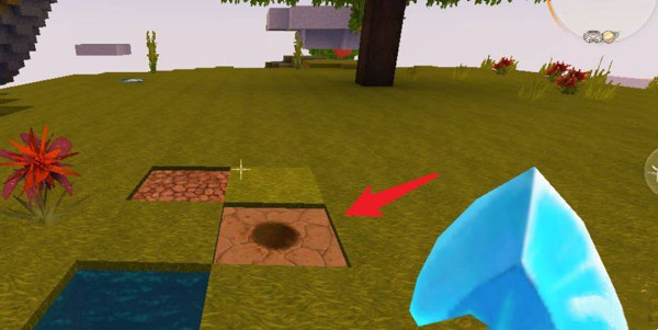 迷你世界神圣树怎么快速长大2025