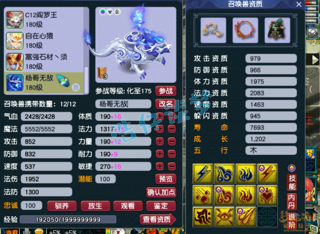 梦幻西游175服战凌波城装备展示图