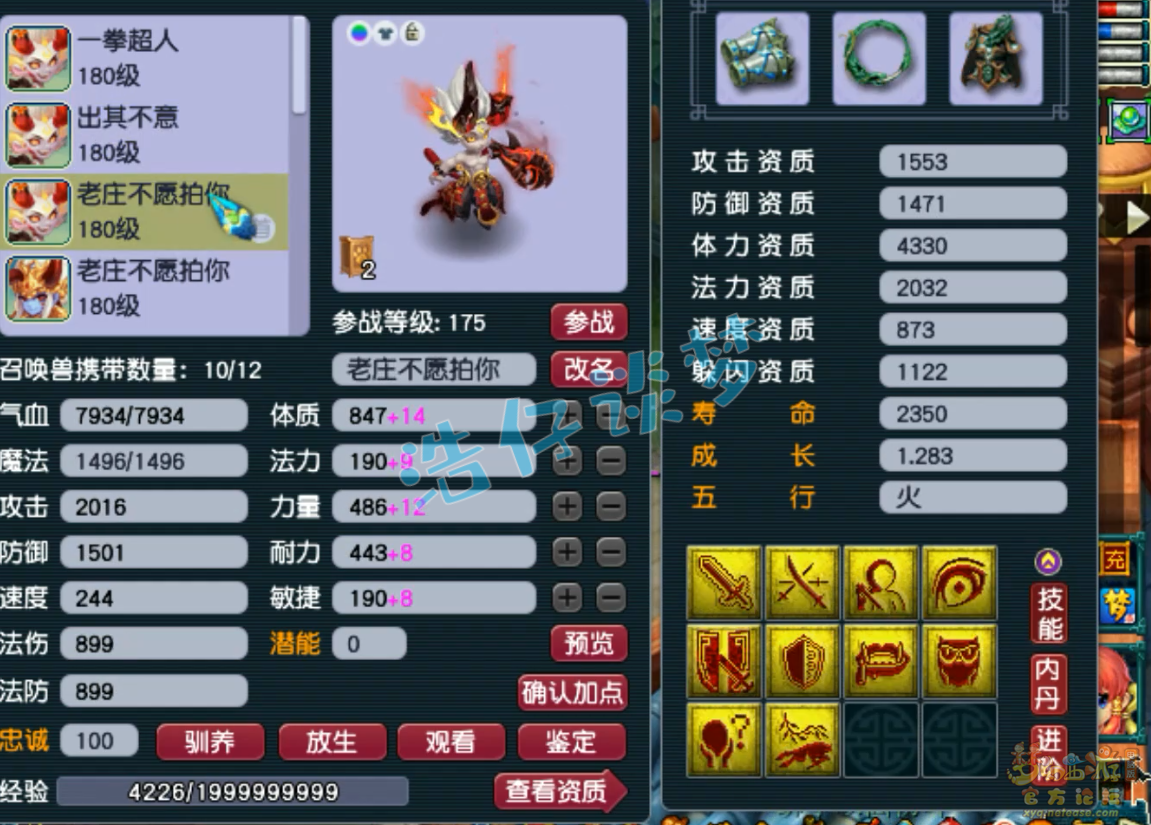 梦幻西游咒师普陀山装备175级展示图