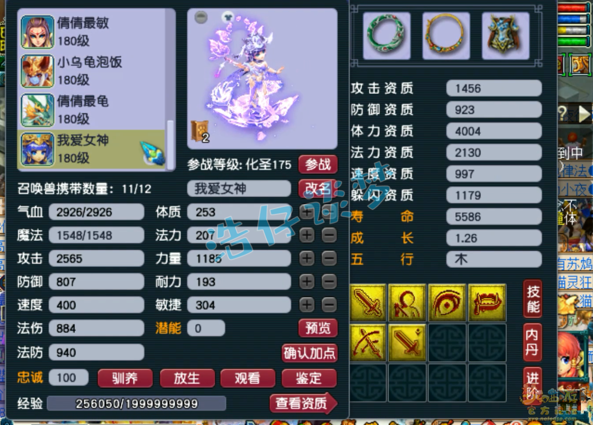 梦幻西游175女儿村帮战装备展示图