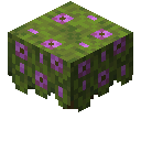 我的世界盛开的杜鹃花丛有什么用