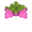 我的世界孢子花有什么用