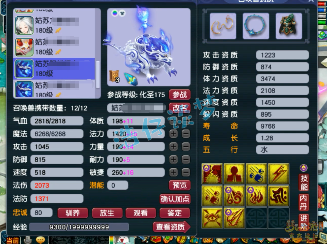 梦幻西游五庄观服战175装备装备展示图