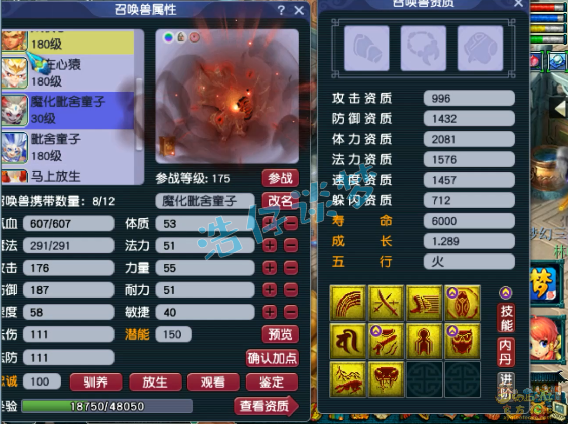 梦幻西游175凌波城服战装备展示图