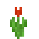 我的世界红色郁金香有什么用2025