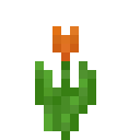 我的世界橙色郁金香有什么用2025