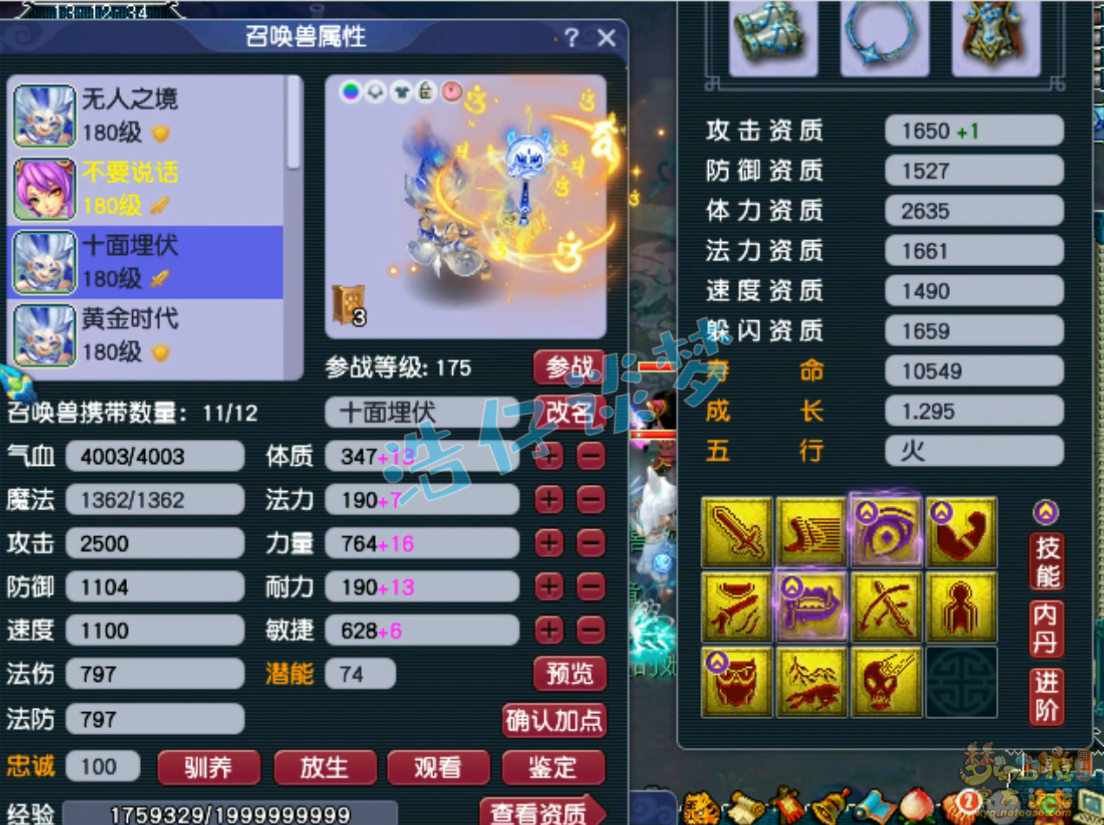 梦幻西游竞速龙宫装备175级展示图