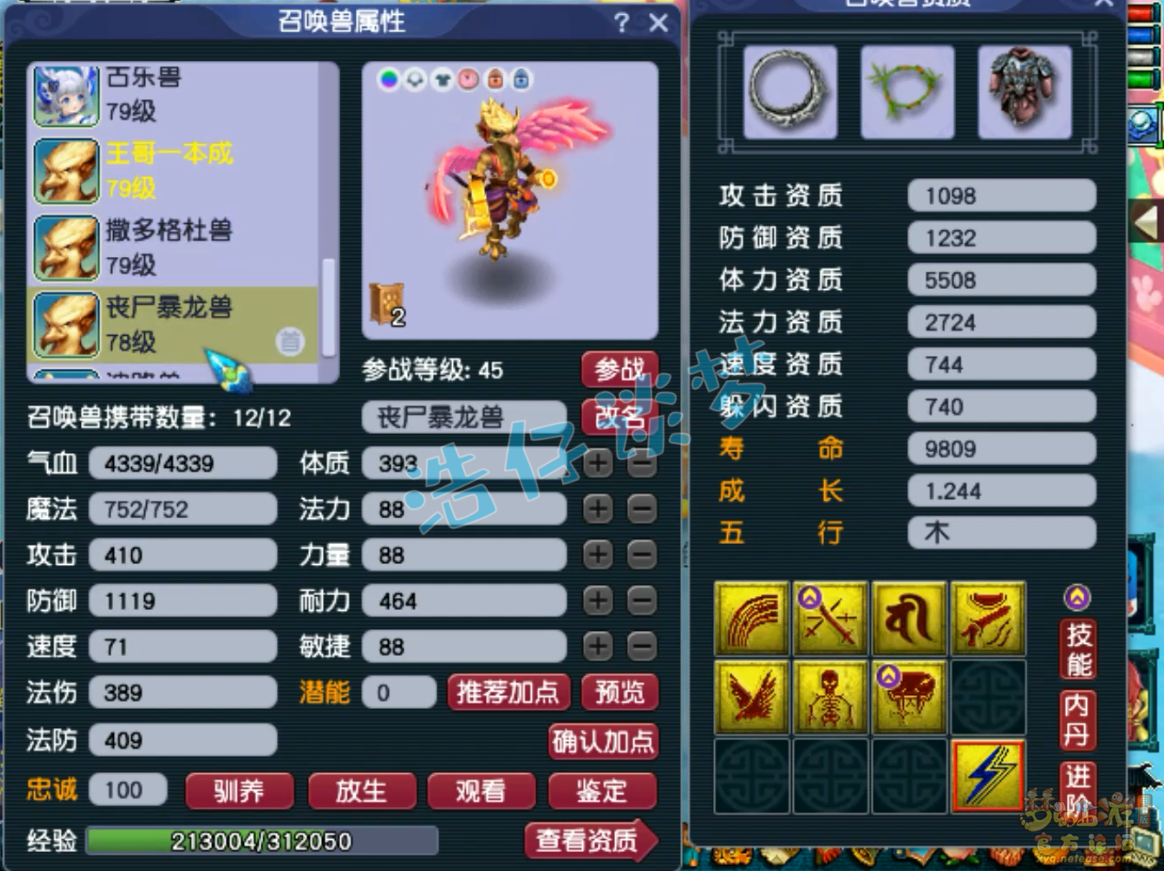 梦幻西游单挑大唐69级装备展示图