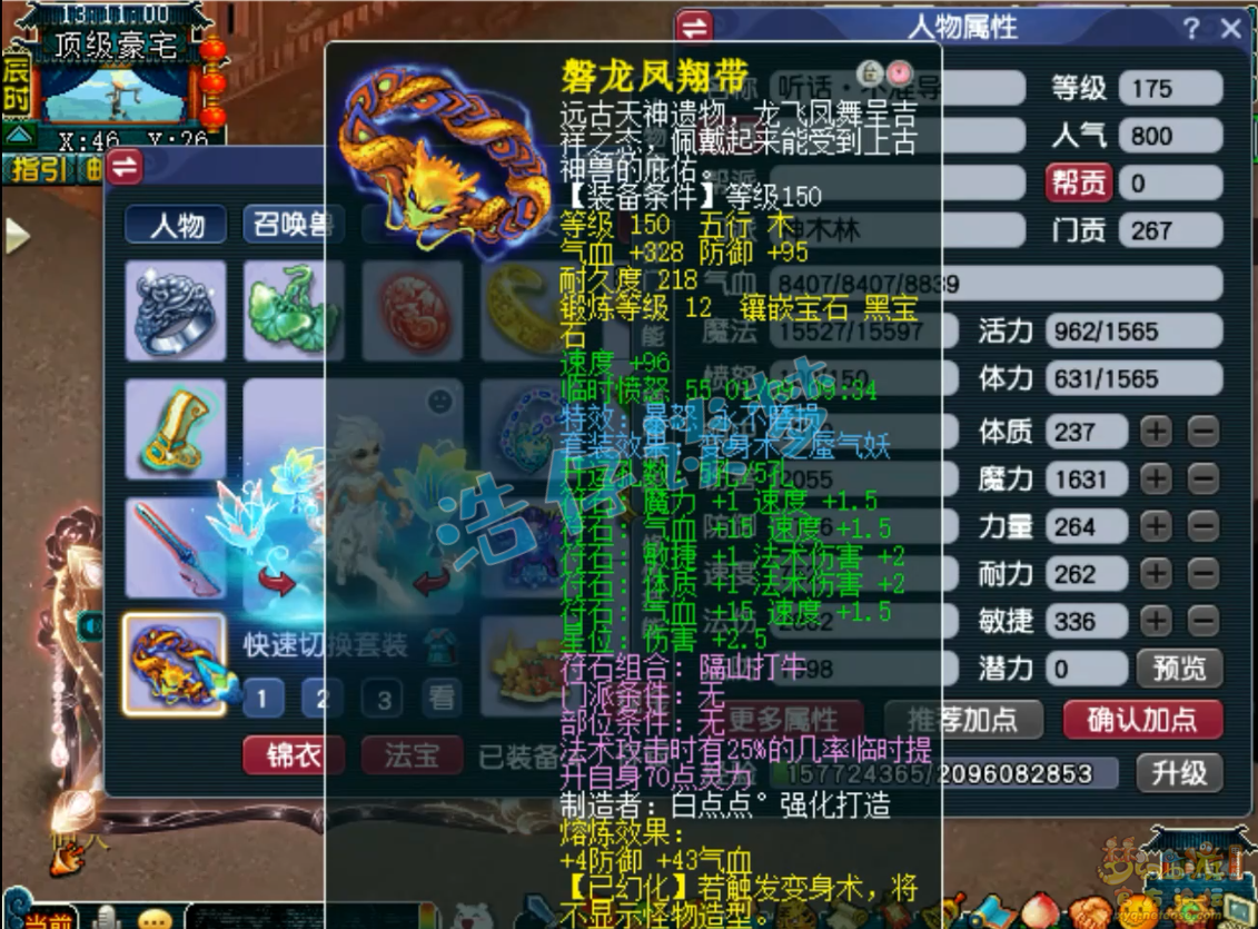 梦幻西游竞速神木林装备展示图175级