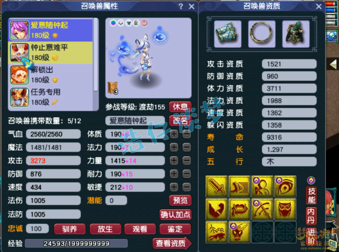 梦幻西游竞速神木林装备展示图175级