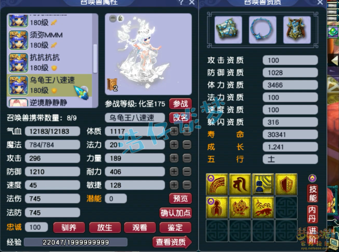 梦幻西游花果山175级装备展示图